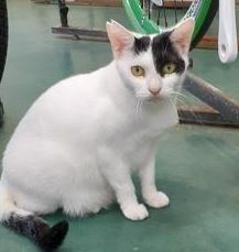 �T���v���摜�l�p