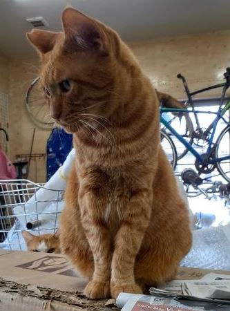 �T���v���摜�c