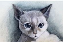 ともだちの家族