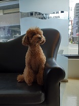 ともだちの家族