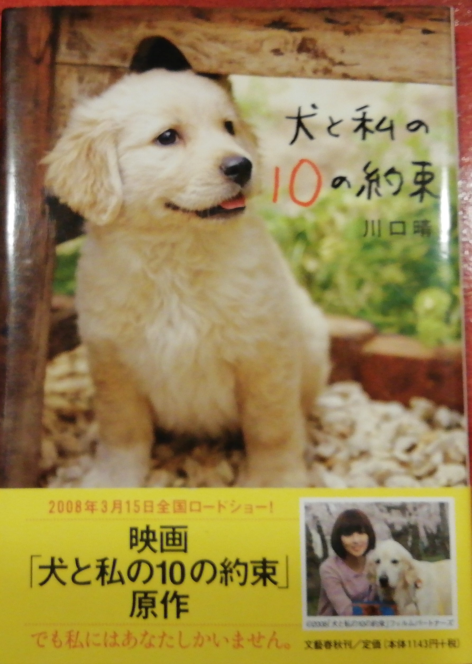 犬と私の10の約束